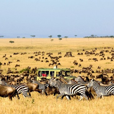 Top 5 Reasons to Visit Tanzania